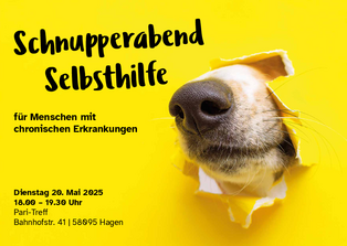 Die Nase eines Hundes schaut durch ein gelbes Papier, sodass nur die Hundeschnauze in Nahaufnahme zusehen ist.
