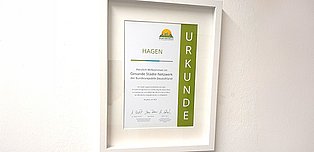 Urkunde Mitglied im Gesunde Städte Netzwerk.